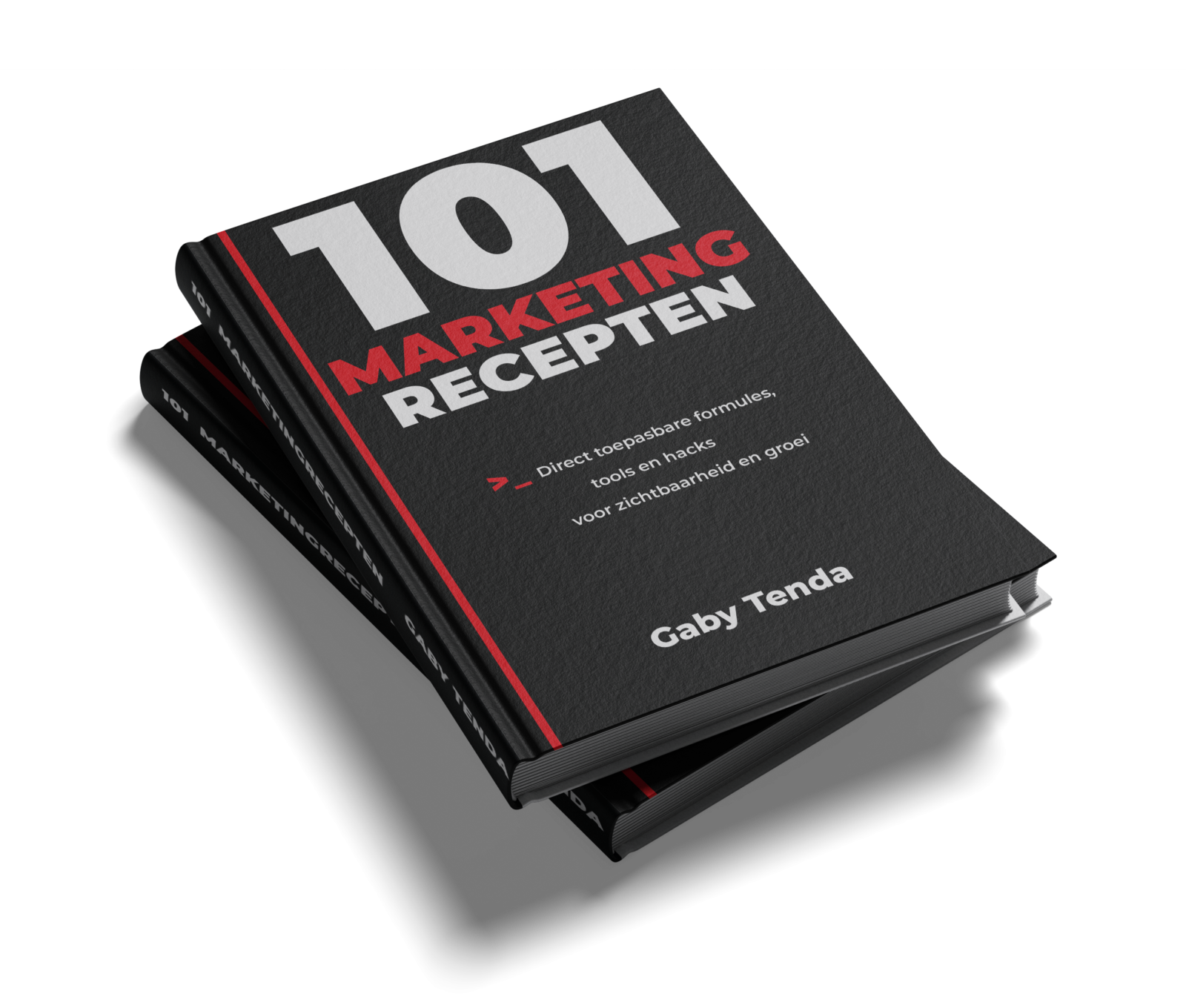 101 Marketingrecepten boek voor ondernemers 101 Marketingrecepten voor ondernemers